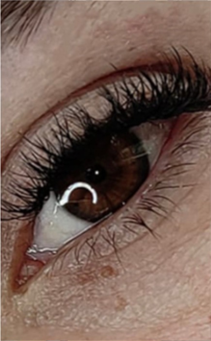 estação bellissima vol classico 1